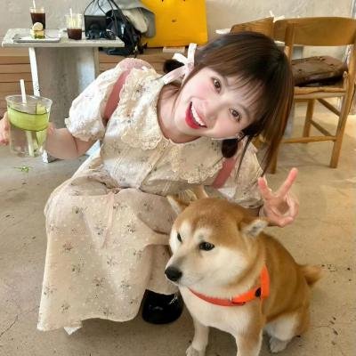 我爱糖衣路